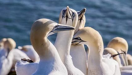 j9九游真人游戏第一平台🏆生涯第9个巡回赛冠军！弗里茨以6-3/7-6(0）击败兹韦列夫夺冠